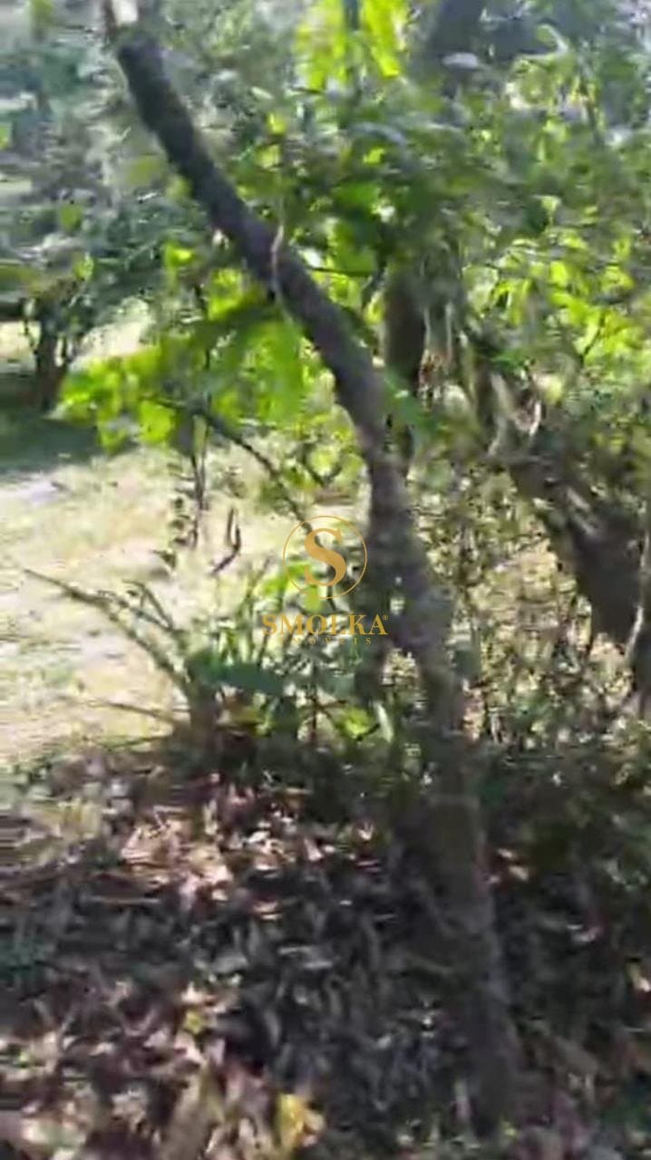 Terrenos em Capoeiras